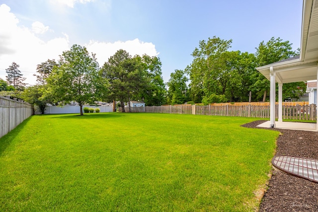 4920 Stonewall Ave, Downers Grove, IL 60515 - photo 42