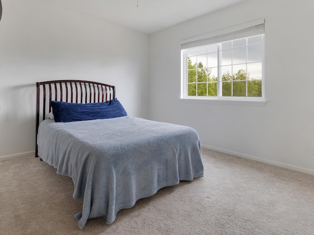 9312 Bristol Ln, Huntley, IL 60142 - bedroom with carpet floors