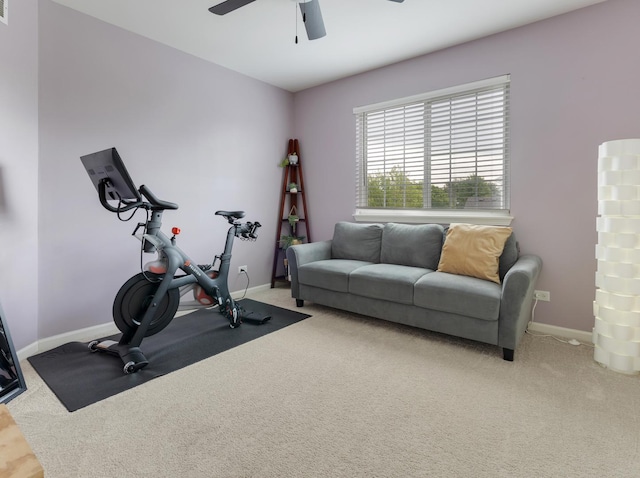 9312 Bristol Ln, Huntley, IL 60142 - exercise room with ceiling fan and carpet floors