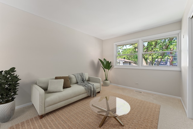6S184 Lakewood Dr, Naperville, IL 60540 - carpeted living area featuring baseboards