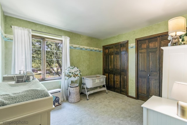 1148 N Anvil Ct, Addison, IL 60101 - bedroom featuring light colored carpet and two closets