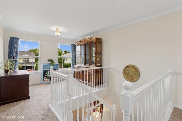 36917 N Deer Trail Dr, Lake Villa, IL 60046 - hall featuring an upstairs landing, ornamental molding, and light carpet