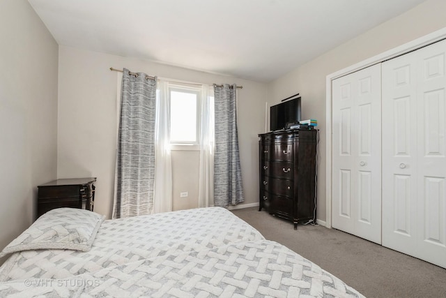 8036 S Fawn Trl, Justice, IL 60458 - bedroom with carpet floors and a closet