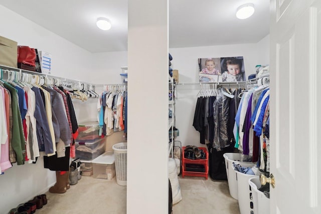 305 Buckingham Dr, Algonquin, IL 60102 - walk in closet with carpet floors