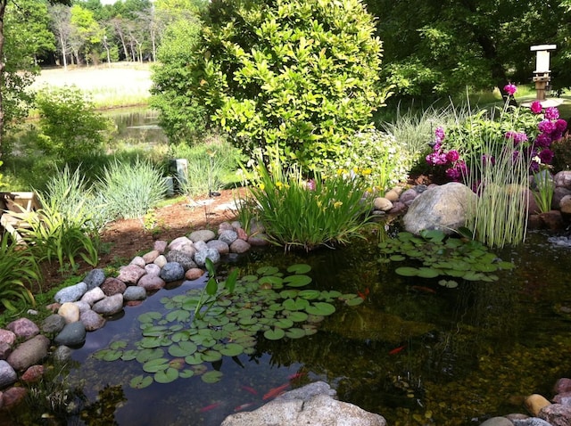 305 Buckingham Dr, Algonquin, IL 60102 - view of yard