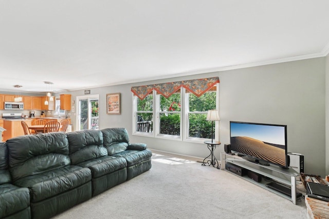 305 Buckingham Dr, Algonquin, IL 60102 - living room with ornamental molding, healthy amount of natural light, and light colored carpet