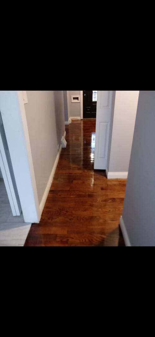 16265 Drexel Ave, South Holland, IL 60473 - hallway featuring wood finished floors and baseboards