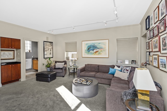 77 E Division St Unit 3, Chicago, IL 60610 - living area with track lighting and carpet