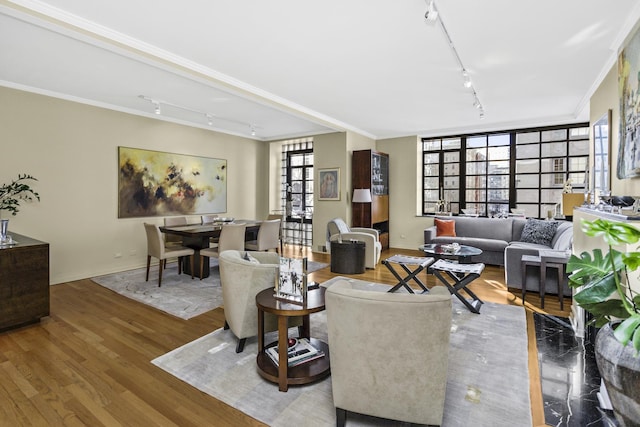 77 E Division St Unit 3, Chicago, IL 60610 - living area featuring track lighting, wood finished floors, and ornamental molding