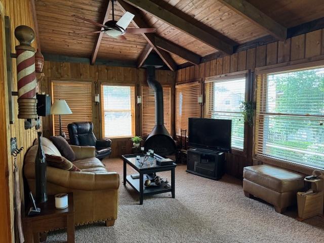 430 Harvey Ave, Grayslake, IL 60030 - photo 9