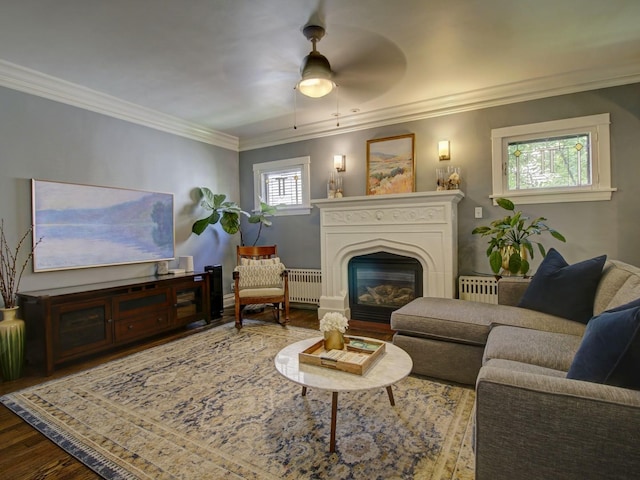 415 N Taylor Ave, Oak Park, IL 60302 - living area with wood finished floors, crown molding, ceiling fan, a glass covered fireplace, and radiator heating unit