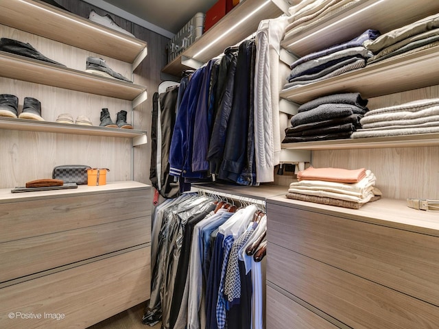 240 E Illinois St Unit 1002, Chicago, IL 60611 - view of walk in closet