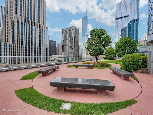 240 E Illinois St Unit 1002, Chicago, IL 60611 - surrounding community featuring a view of skyline