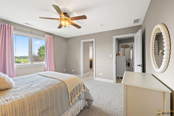 13119 Kinsale Ct, Lemont, IL 60439 - bedroom with light carpet and ceiling fan