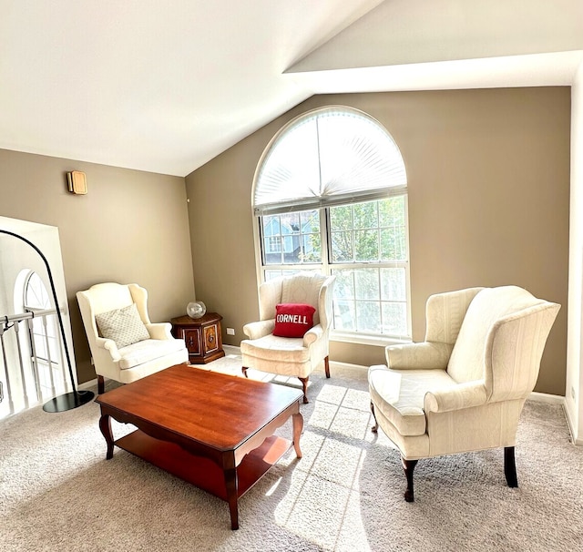 602 Muskegan Ct Unit 602, Vernon Hills, IL 60061 - living room with light colored carpet and lofted ceiling