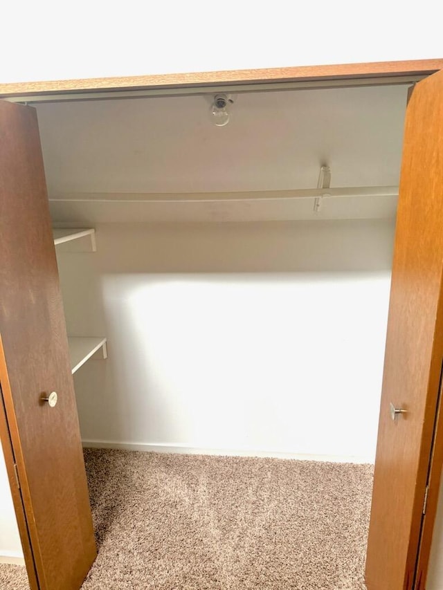 2303 Sumac Ct, Champaign, IL 61821 - view of closet
