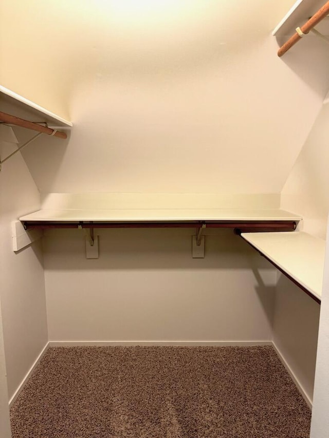 2303 Sumac Ct, Champaign, IL 61821 - spacious closet with carpet flooring