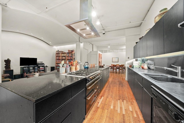 727 S Dearborn St Unit 311, Chicago, IL 60605 - kitchen with dark cabinets, dishwasher, range hood, light wood-type flooring, and dark countertops