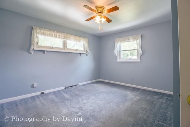 6 Park Pl, Kankakee, IL 60901 - photo 16