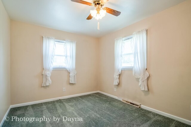6 Park Pl, Kankakee, IL 60901 - photo 21