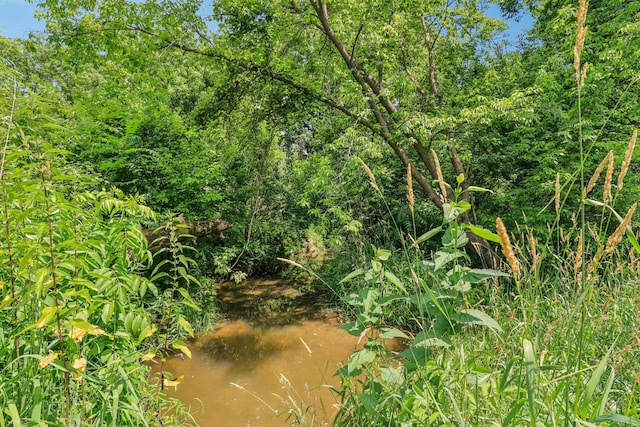2642 N 3739th Rd, Sheridan, IL 60551 - view of local wilderness
