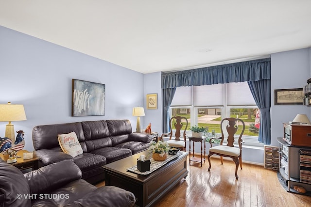109 N Wilke Rd, Palatine, IL 60074 - living area featuring hardwood / wood-style floors