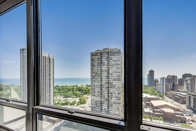 1636 N Wells St Unit 3007, Chicago, IL 60614 - detailed view of nearby water and a city view