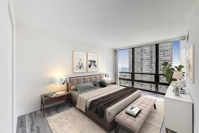 1636 N Wells St Unit 3007, Chicago, IL 60614 - bedroom with multiple windows, wood finished floors, and floor to ceiling windows