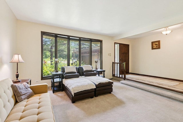 13115 Maple Rd, Mokena, IL 60448 - living room with carpet
