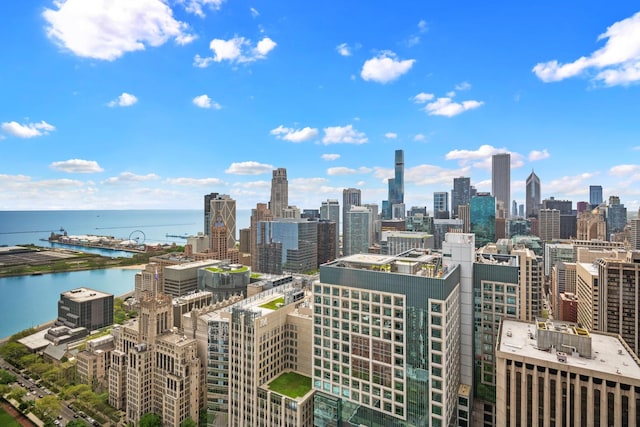 180 E Pearson St Unit 4006, Chicago, IL 60611 - skyline view featuring a large body of water