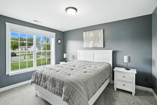 6815 W 142nd Ln, Cedar Lake, IN 46303 - carpeted bedroom with baseboards