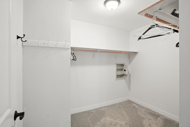 6815 W 142nd Ln, Cedar Lake, IN 46303 - walk in closet with carpet flooring