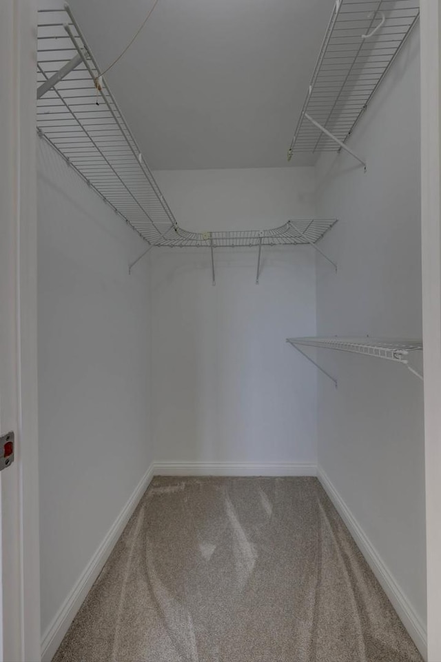 1 Renaissance Pl Unit 1212, Palatine, IL 60067 - spacious closet with carpet floors