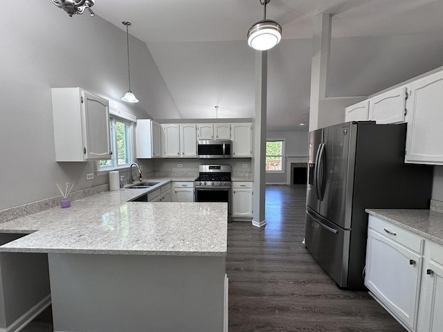 4075 Peartree Dr, Lake In The Hills, IL 60156 - kitchen featuring appliances with stainless steel finishes, a peninsula, healthy amount of natural light, light countertops, and high vaulted ceiling