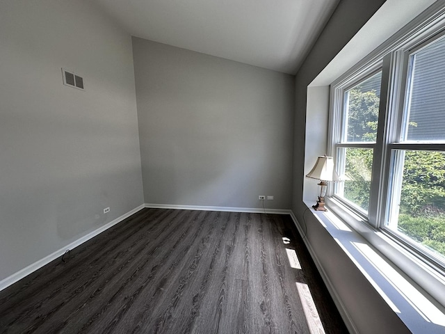 4075 Peartree Dr, Lake In The Hills, IL 60156 - unfurnished room featuring lofted ceiling, plenty of natural light, and dark wood-style floors
