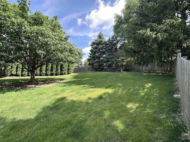 4075 Peartree Dr, Lake In The Hills, IL 60156 - view of fenced yard