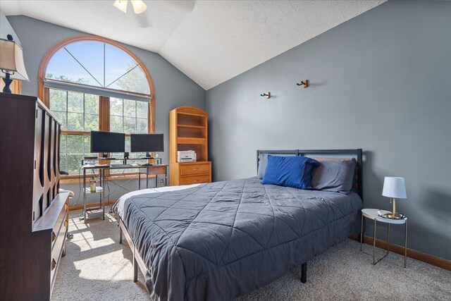2903 Keystone Rd, Bloomington, IL 61704 - bedroom with lofted ceiling, carpet floors, and a textured ceiling