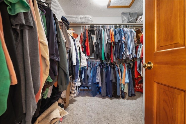 2903 Keystone Rd, Bloomington, IL 61704 - spacious closet with carpet floors