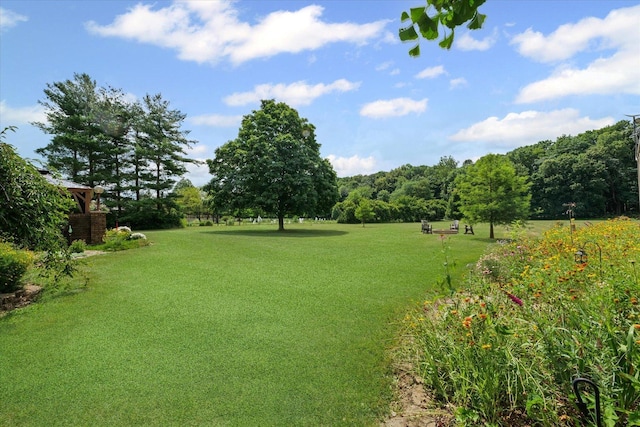 2911 E Oaks Rd N, Urbana, IL 61802 - view of green lawn