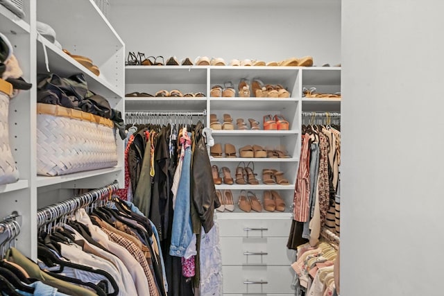 2140 W Armitage Ave Unit 3W, Chicago, IL 60647 - view of walk in closet