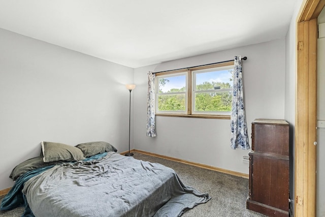 12713 S Escanaba Ave, Chicago, IL 60633 - photo 12