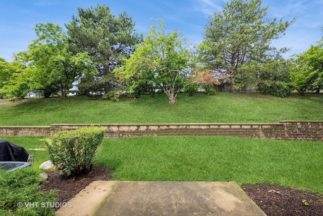 276 Greensboro Ct, Elk Grove Village, IL 60007 - view of green lawn