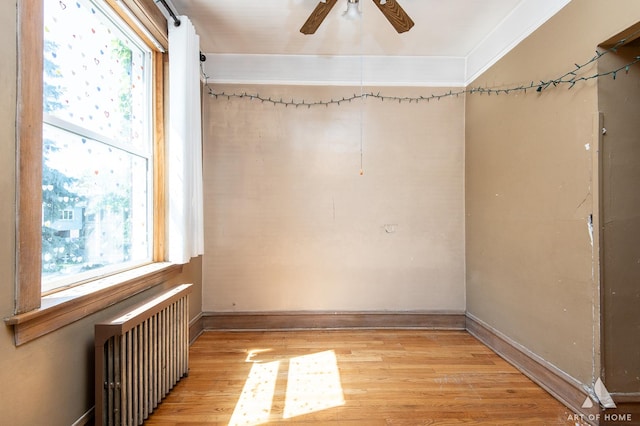 2339 S 61st Ave, Cicero, IL 60804 - spare room featuring radiator, healthy amount of natural light, light wood finished floors, ceiling fan, and crown molding