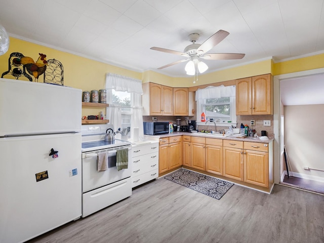 345 Elmhurst St, Wood Dale, IL 60191 - photo 6