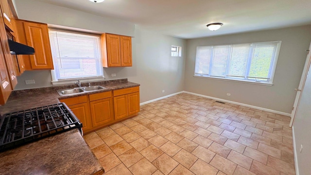 376 Luella Ave, Calumet City, IL 60409 - photo 4