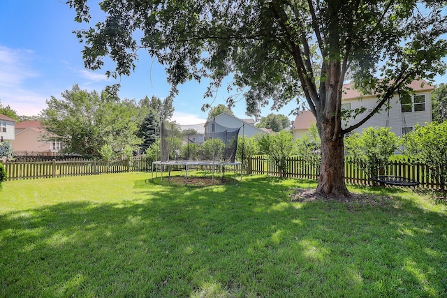 1769 Autumn Woods Ln, Romeoville, IL 60446 - fenced backyard featuring a trampoline