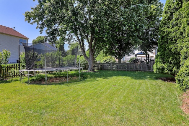 1769 Autumn Woods Ln, Romeoville, IL 60446 - fenced backyard with a trampoline