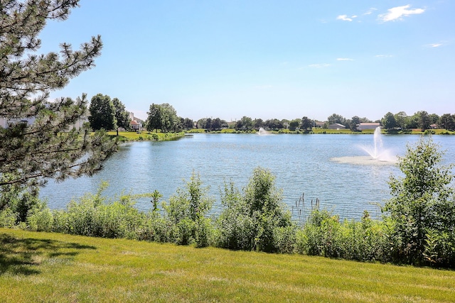 1769 Autumn Woods Ln, Romeoville, IL 60446 - water view