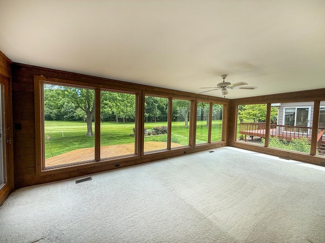 3030 Fairway Oaks Ln Unit 3030, Dekalb, IL 60115 - unfurnished sunroom with carpet flooring and wood walls