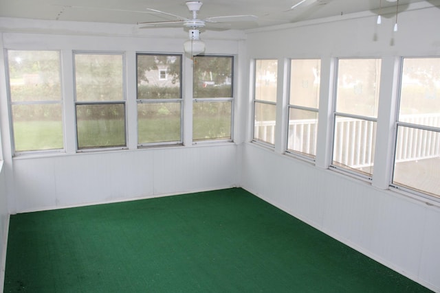 819 S W St, Earlville, IL 60518 - unfurnished sunroom with carpet flooring
